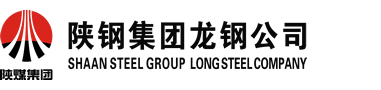 Shaanxi Steel Group Longgang Co. Ltd